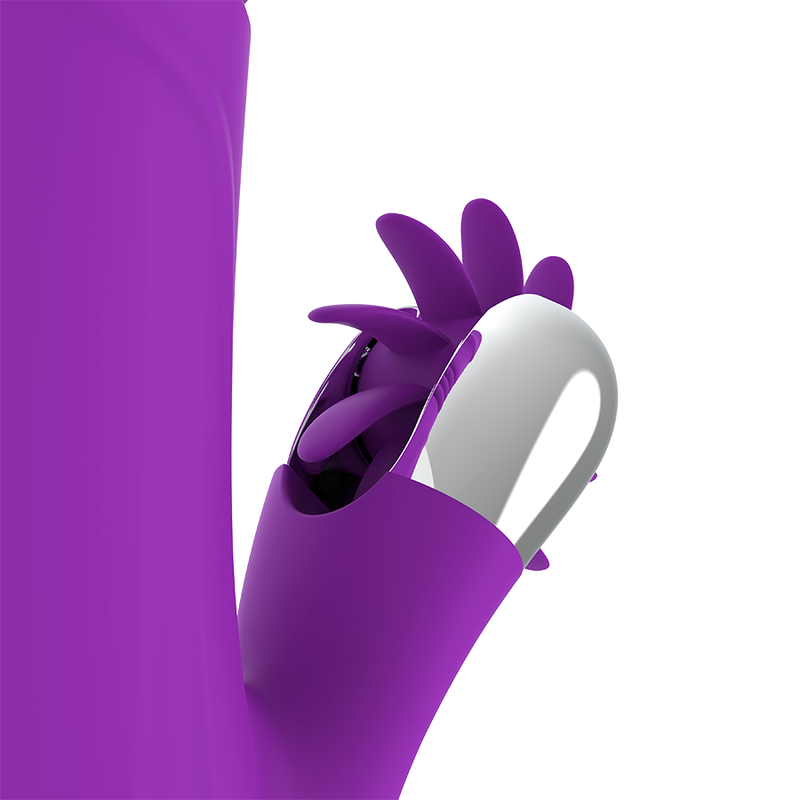 FUN FUNCTION BUNNY FUN PARA CIMA E PARA BAIXO 2.0