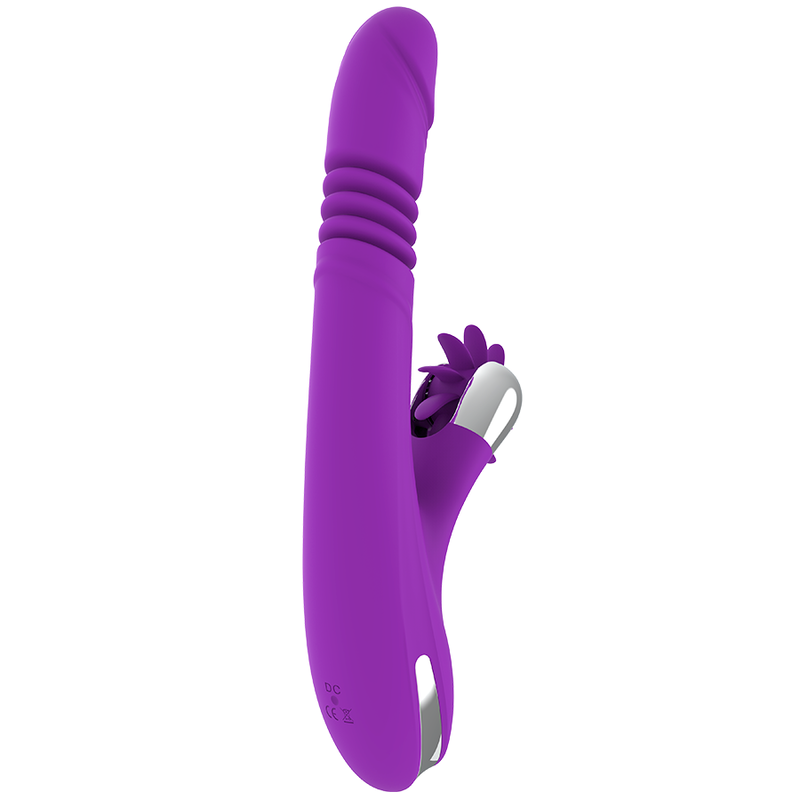 FUN FUNCTION BUNNY FUN PARA CIMA E PARA BAIXO 2.0