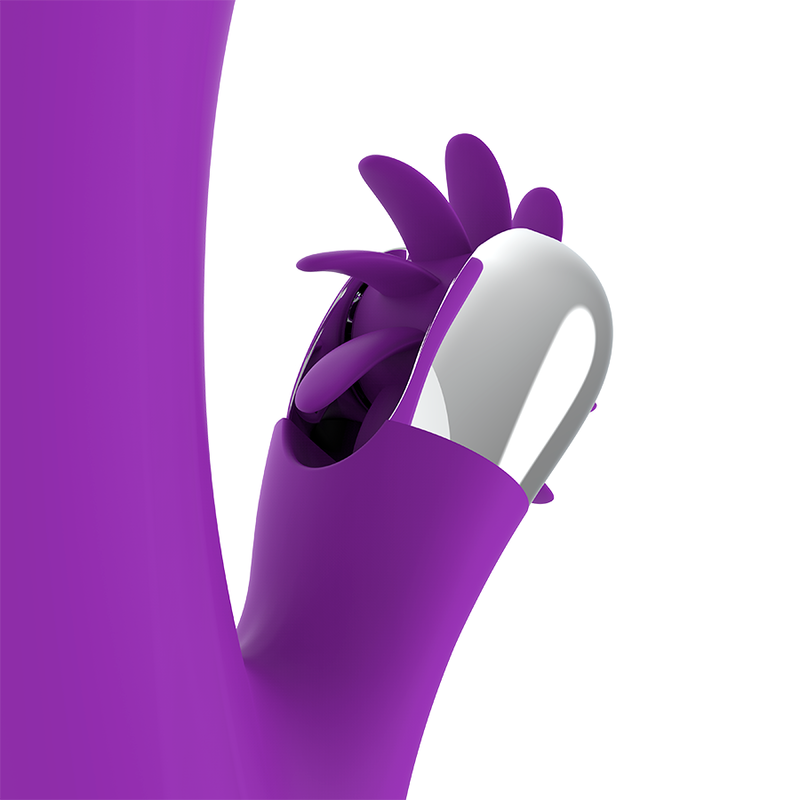 FUN FUNCTION BUNNY FUNNY 2.0
