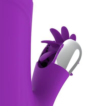 FUN FUNCTION BUNNY FUN PARA CIMA E PARA BAIXO 2.0